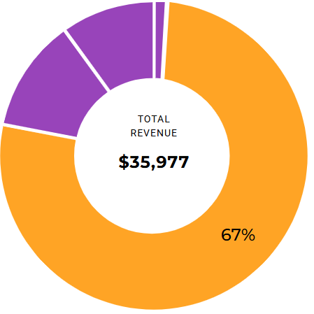 Ring diagram showing Total revenue in 2021/2022 was $29,398,000